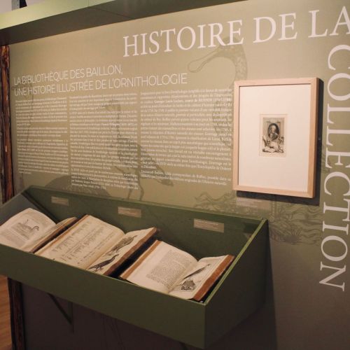 NOUVELLES EXPOSITIONS DU MUSÉE GEORGE SAND ET DE LA VALLÉE NOIRE