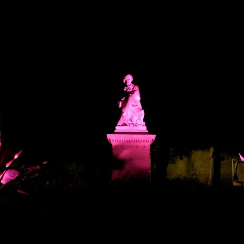 LE COEUR DE VILLE SE PARE DE ROSE