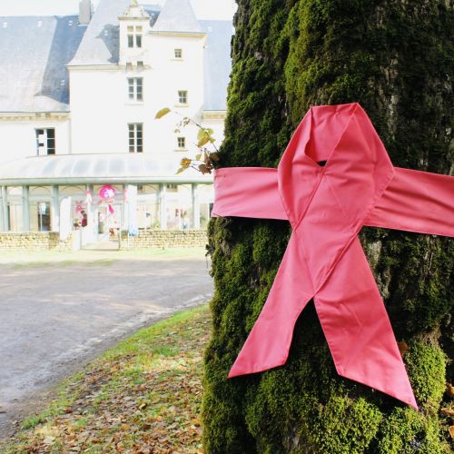 LANCEMENT D'OCTOBRE ROSE À LA CHATRE
